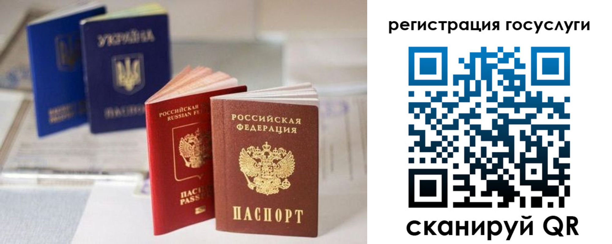 прописка поиск в Братске